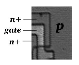 An nMOS transistor under the microscope
